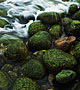 River rocks