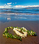 Leis on the beach