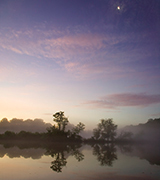 Still river reflections at dawn.