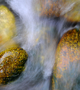 Stream water flowing over smooth stones.