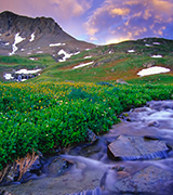 Stream flowing through a mountain meadow.