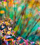 Blurred flowers