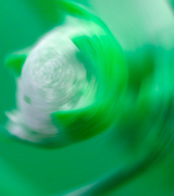 Blurred white flower with green leaves.