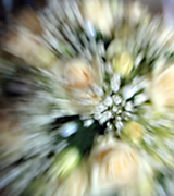 Blurred wedding bouquet.