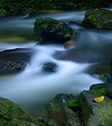 Shaded stream flowing over mossy rocks.