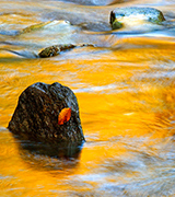 Smooth flowing autumn stream.