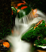 Autumn stream flowing over rocks.