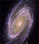 M81 Galaxy